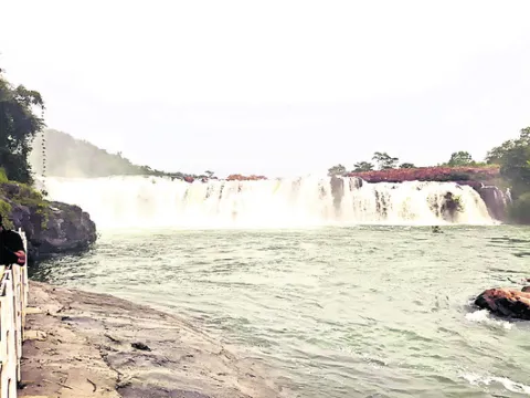 చెప్పినా వినరు.. నిషేధించినా ఆగరు