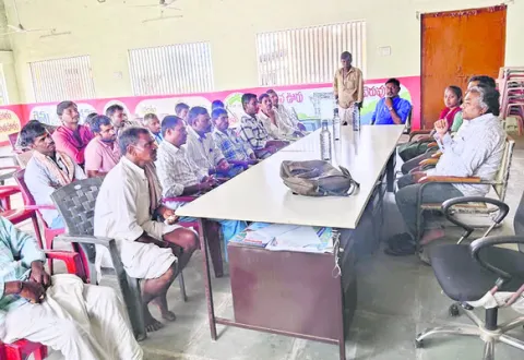 తెల్ల