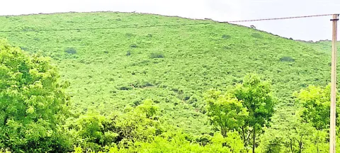 పేదల 