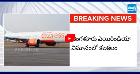 Air India Plane Passenger Tries To Enter Cockpit While Looking For Toilet  1