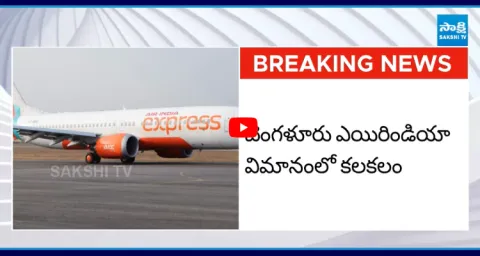 Air India Plane Passenger Tries To Enter Cockpit While Looking For Toilet  1