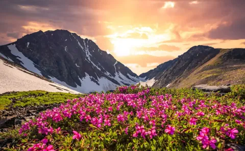 A Valley of Flowers tour multi day trek in Uttarakhand check details 