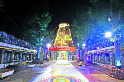 శ్రీగ