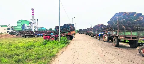 ఆయిల్