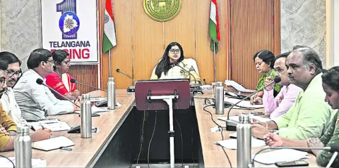 ఘనంగా నిర్వహించాలి 