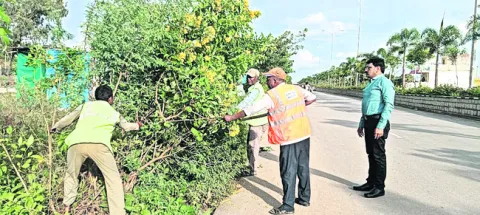 పరిసరాలు శుభ్రంగాఉంచుకోవాలి 
