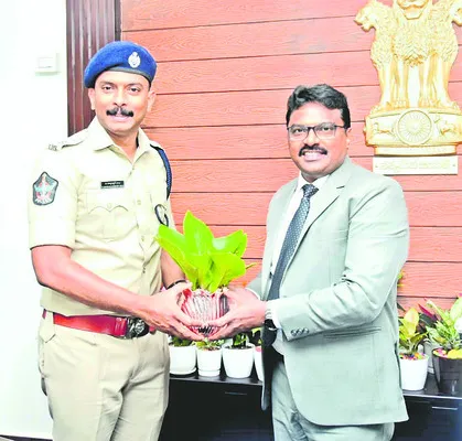 కలెక్