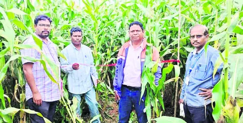 పంటకోత ప్రయోగాలతో అధిక దిగుబడులు 