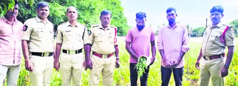 కక్ష కట్టి.. కటకటాలపాలై 