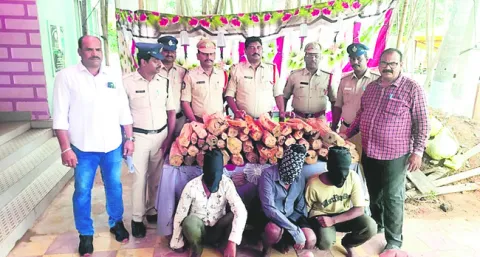 గంధం చెట్ల దొంగలు దొరికారు 