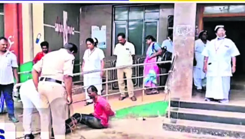 రోడ్డ