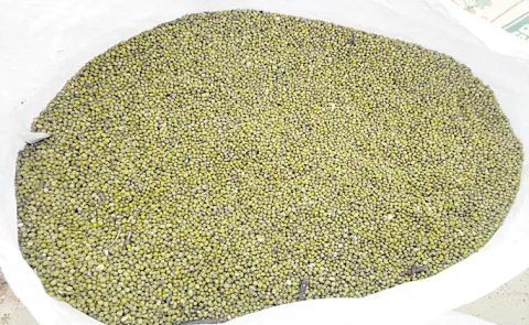 Pesara price will not rise: Andhra Pradesh