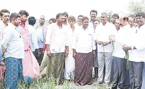 YSRCP SV Mohan Reddy Comments On Onion Farmers Struggle