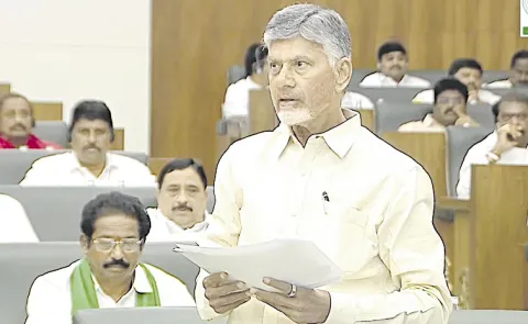 CM Chandrababu Serious Comments On paddy cultivation