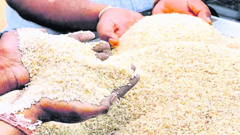 వేలానికి దొడ్డు బియ్యం