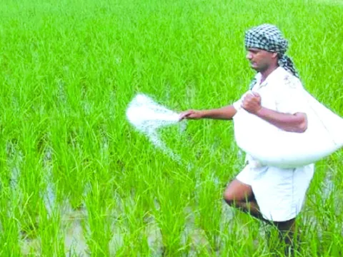 పెరిగ