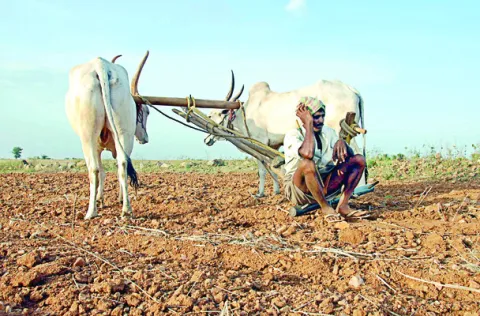 లాగిన్‌ ఆప్షన్‌.. కష్టాలు ఓపెన్‌ 