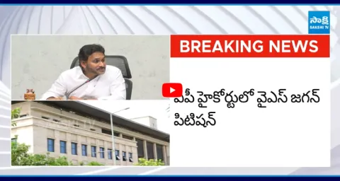 YS Jagan Mohan Reddy Petition In High Court  1