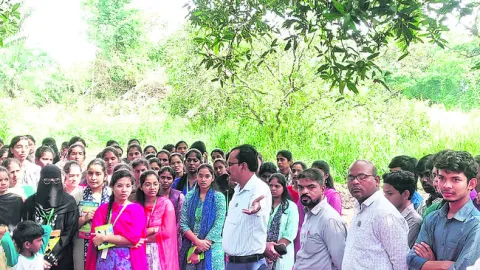 ఆర్గానిక్‌ మల్చింగ్‌పై అవగాహన 
