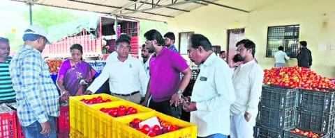 చీనీ,