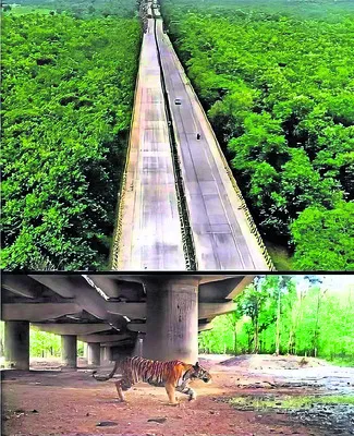 అటు వైపు ఎలివేటెడ్‌ కారిడార్‌కు  ప్రతిపాదనలు..  

