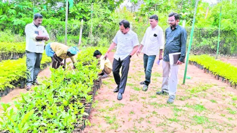 అకడమి