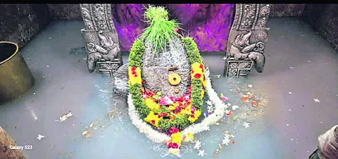 జల ది