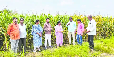 వివరాలు నమోదు చేసుకుంటేనే ‘మద్దతు’ 