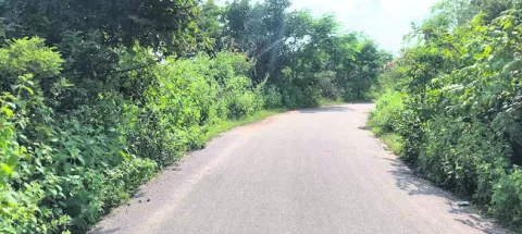 మూల మ