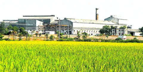 షుగర్‌ ఫ్యాక్టరీపై చిగురిస్తున్న ఆశలు