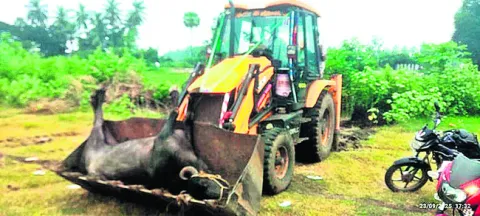 ఆగని మరణ మృదంగం
