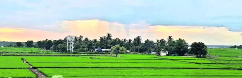 బోనస్