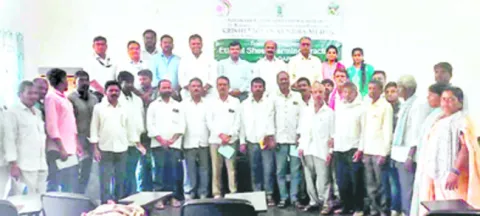 గొర్రెల పెంపకంతో అధిక ఆదాయం