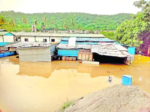 బంగార