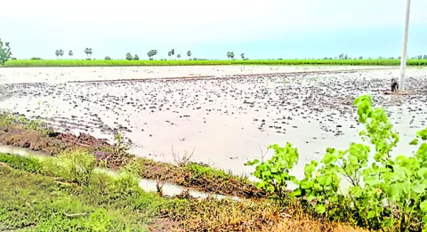 అతివృ