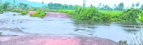 భారీ 