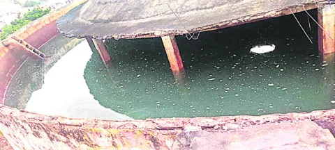 ట్యాం