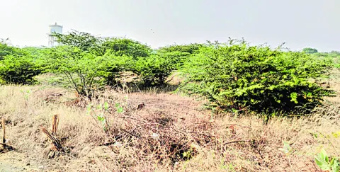 గోడు పట్టదు.. గోస తీరదు! 