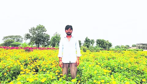 పీజీ చదివి.. పూలబాట
