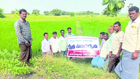 విత్తనోత్పత్తితో నాణ్యమైన దిగుబడి