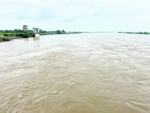 బాసరక