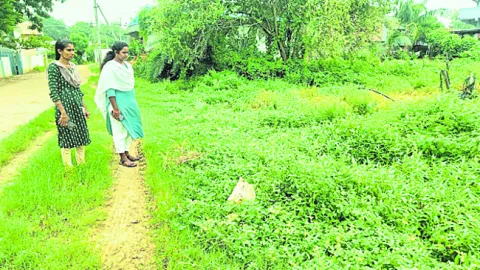 పల్లెప్రగతి వైపు అడుగులు