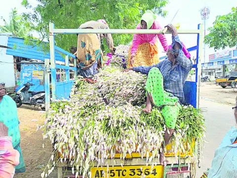 గునుగ