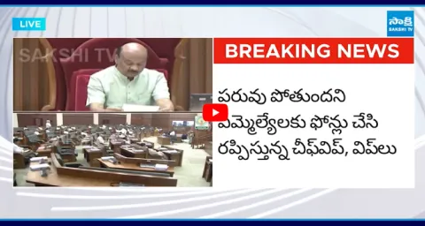 MLAs Absent To Assembly For Pawan Kalyans OG Movie 1