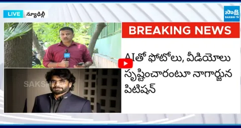 Delhi High Court Key Comments on Akkineni Nagarjuna AI Videos 4
