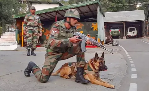 BSF to Train Indian dog Breeds for Border Duty