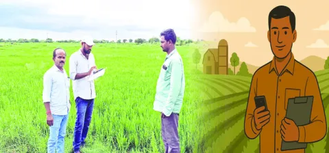 అధికారుల పొలం బాట