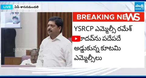 YSRCP MLCs Strong Counter to Ministers  1