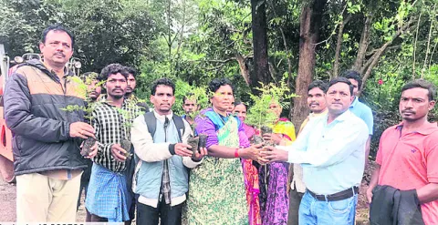 రైతులకు మొక్కల పంపిణీ 