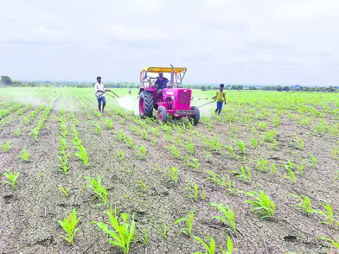 అన్నదాతకు ఆసరా